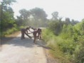 /album/safai-abhiyaan-14-nov-2014-to-19-nov-2014/img-20141002-082939-jpg/