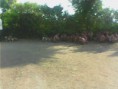/album/safai-abhiyaan-14-nov-2014-to-19-nov-2014/img-20141002-083052-jpg/