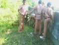 /album/safai-abhiyaan-14-nov-2014-to-19-nov-2014/img-20141002-083756-jpg/