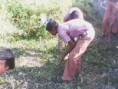 /album/safai-abhiyaan-14-nov-2014-to-19-nov-2014/img-20141002-083856-jpg/